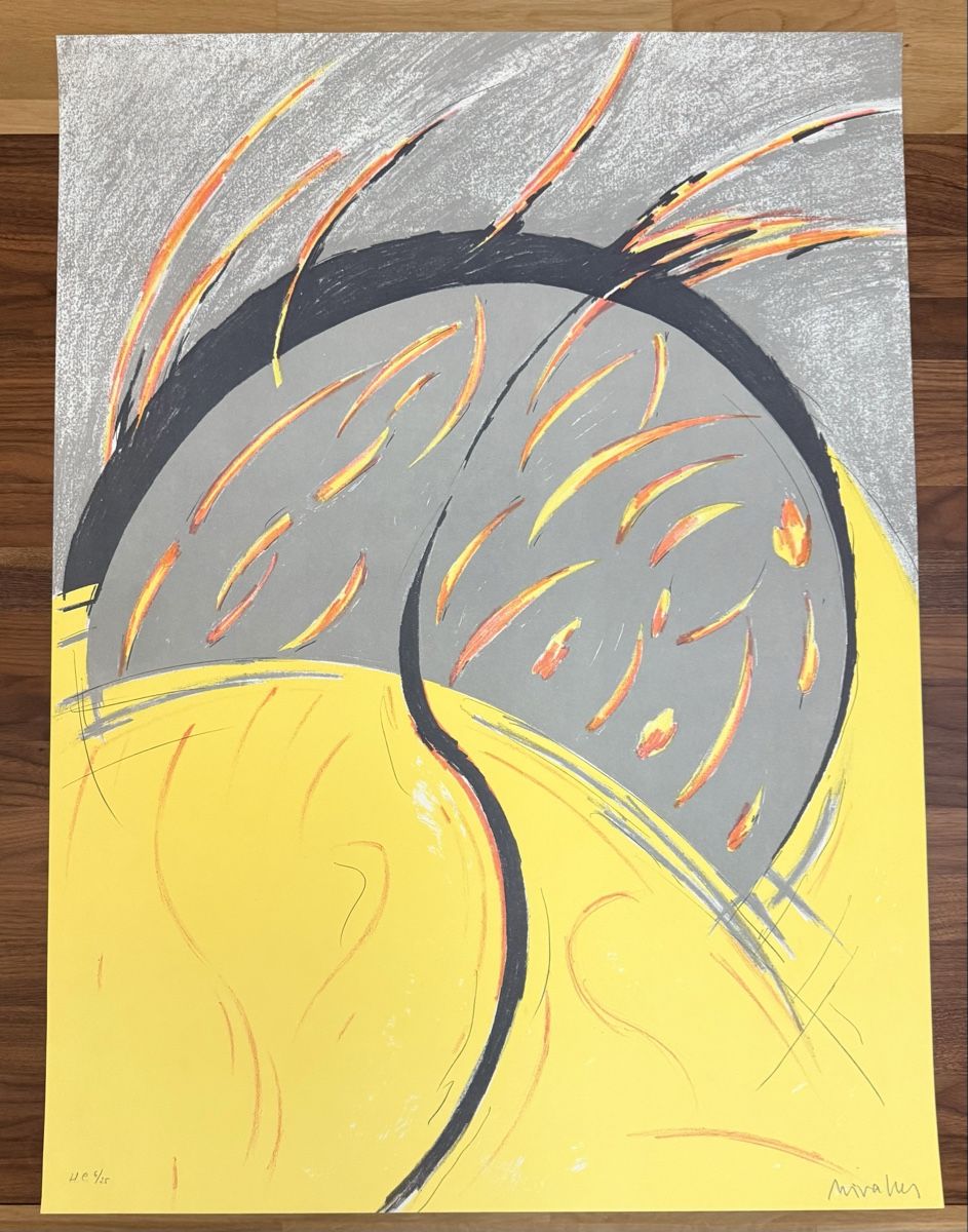 Grafica & Litografie: FINA MIRELLES NOBELL -LITHOGRAPHIE – Usato da Solothurn venduto da NUVICO 1