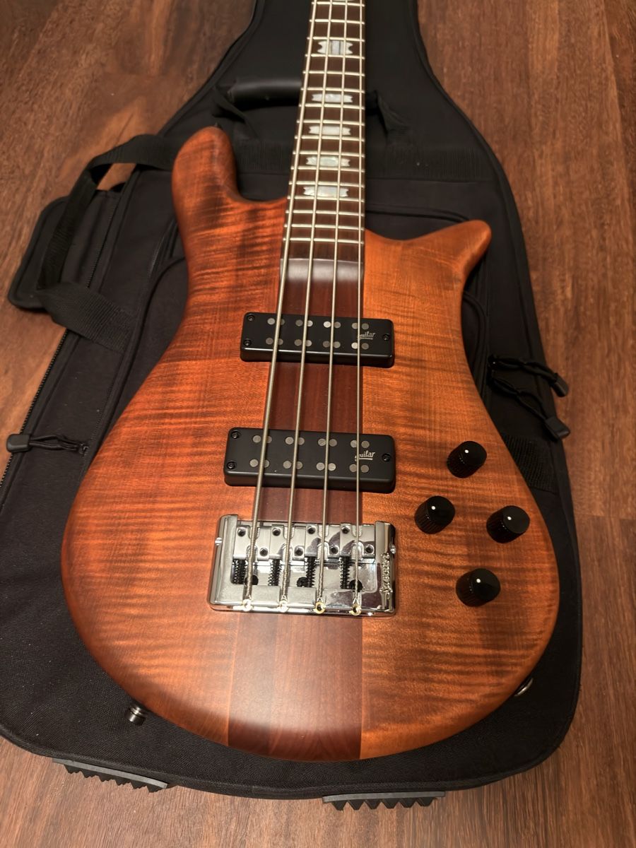 Strumenti musicali: Spector RST 4-String in Sienna Stain – Nuovo (secondo la descrizione) da Pfäffikon ZH venduto da roman-zuerich 1
