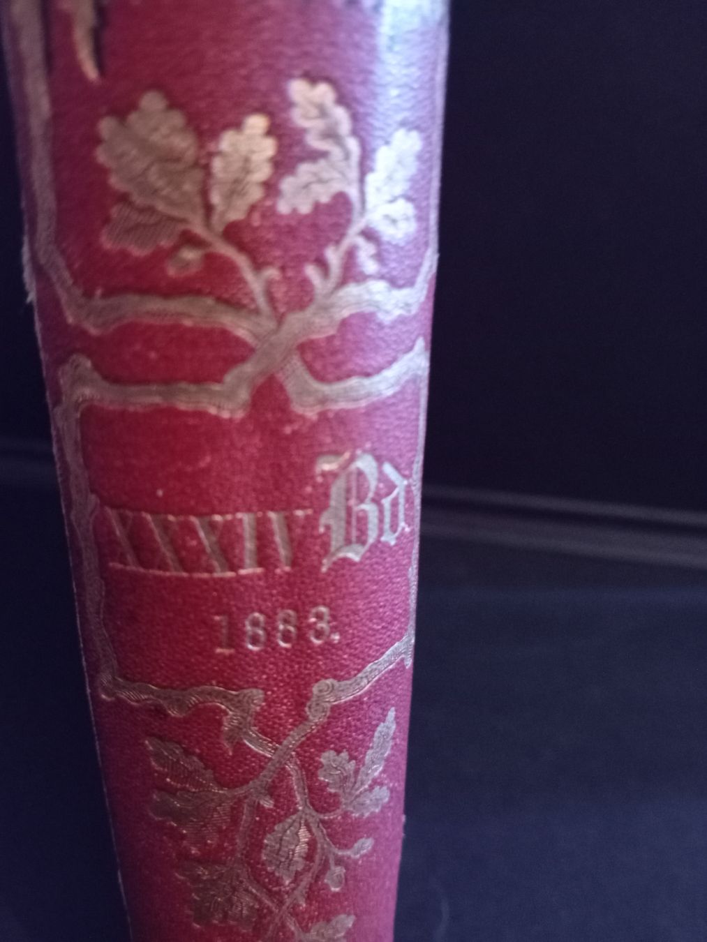 Libri: Deutsche Rundschau 1883 – Usato da Biasca venduto da Old_6blh 2
