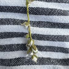 Profile image of Peppine