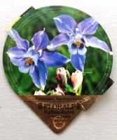 Série 40 (Attaches) - Flore alpine  (30)