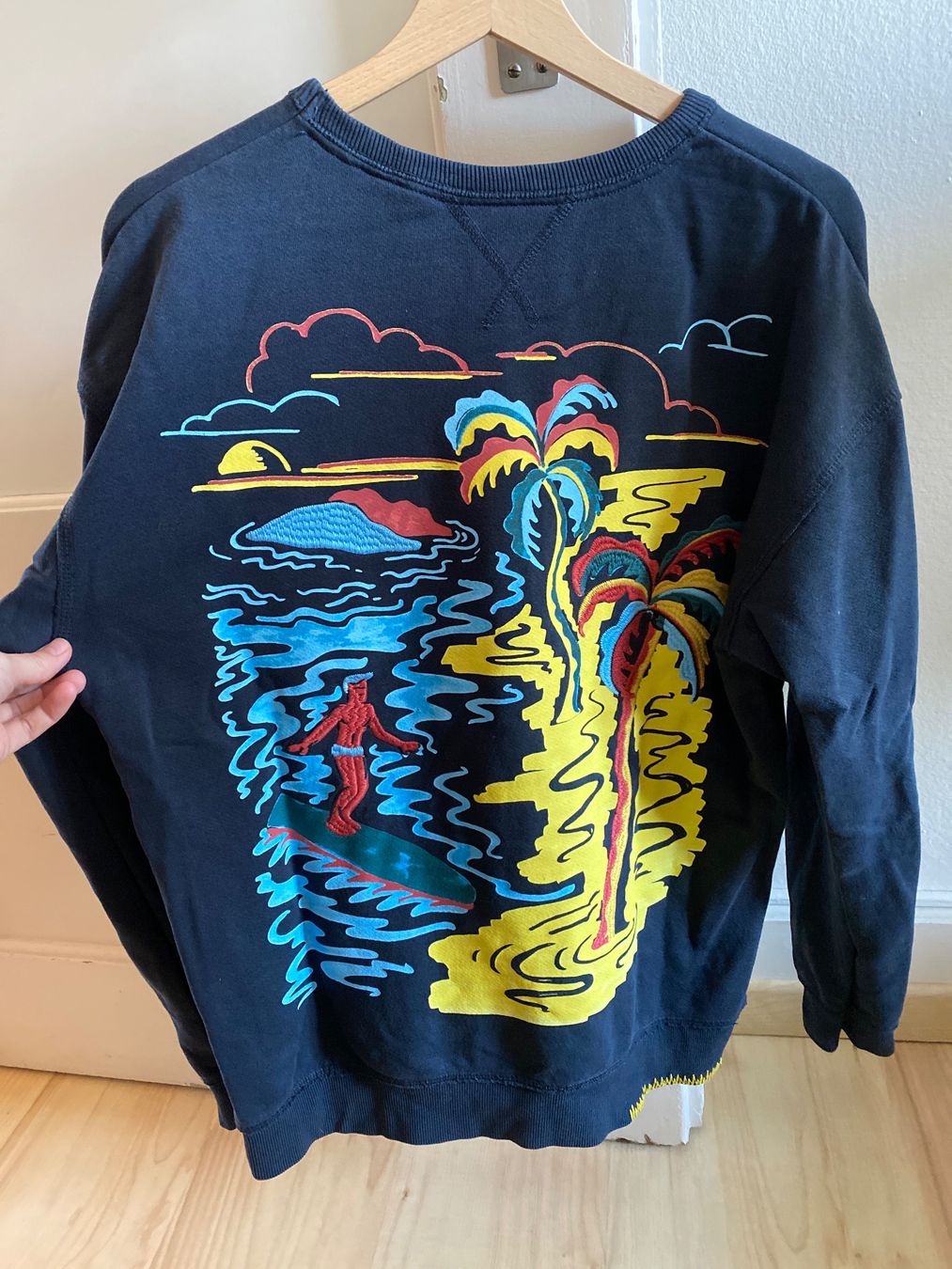 Maison Scotch Maglioni & Felpe: scotch and soda pullover – Usato da Zürich venduto da kim_m2kd 2