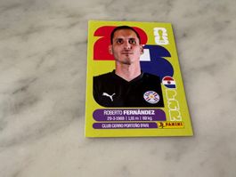 Panini Fussball WM 2026 Sticker Roberto Fernandez PAR 2