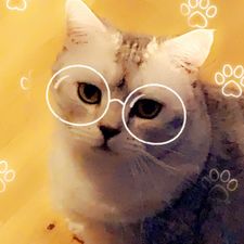 Profile image of pinkpanda_