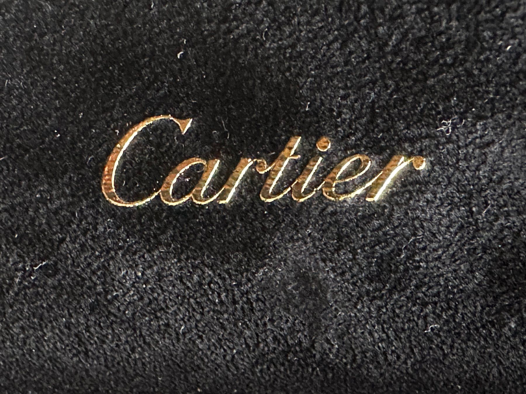 Cartier Altro in Decorazioni & Accessori: Cartier Pen Leather Box/Case COST0046 – Usato da Lausanne venduto da brixton 6