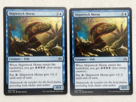 MTG Shipwreck Moray AER 45 Englisch Common 2x