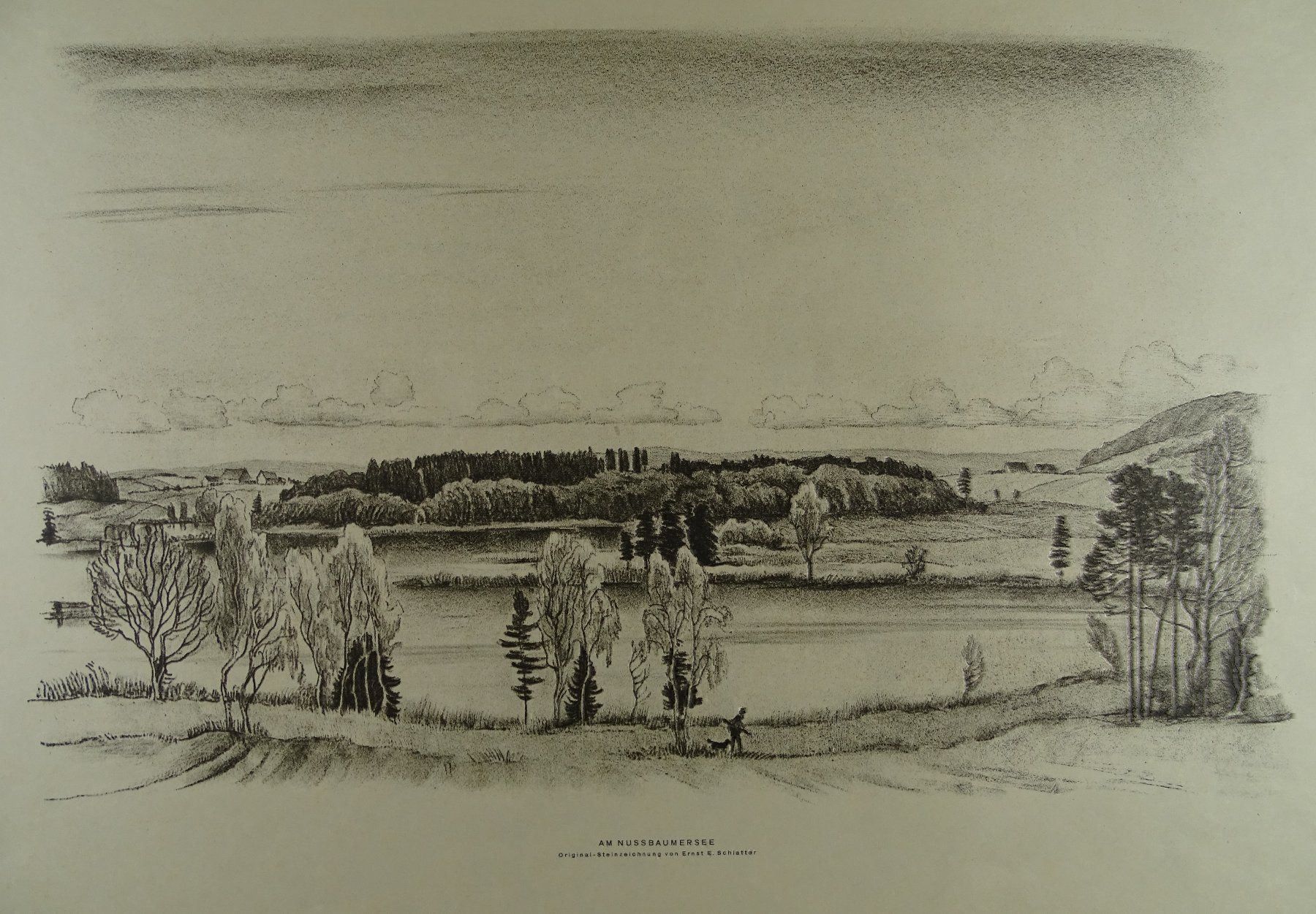 Dipinti: NUSSBAUMERSEE, LITHO VON E.E. SCHLATTER – Usato da Grüningen venduto da Kartensammler