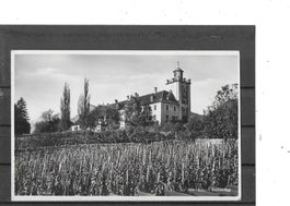 GR Maienfeld 1939 mit Weingut Schloss Saalenegg