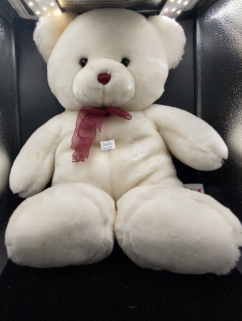 Jouets: Plüsch-Teddybär – D'occasion à Rorschacherberg par snOOpydOg11 1