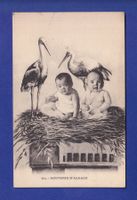 ENFANT - Bébés et cigognes - Alsace