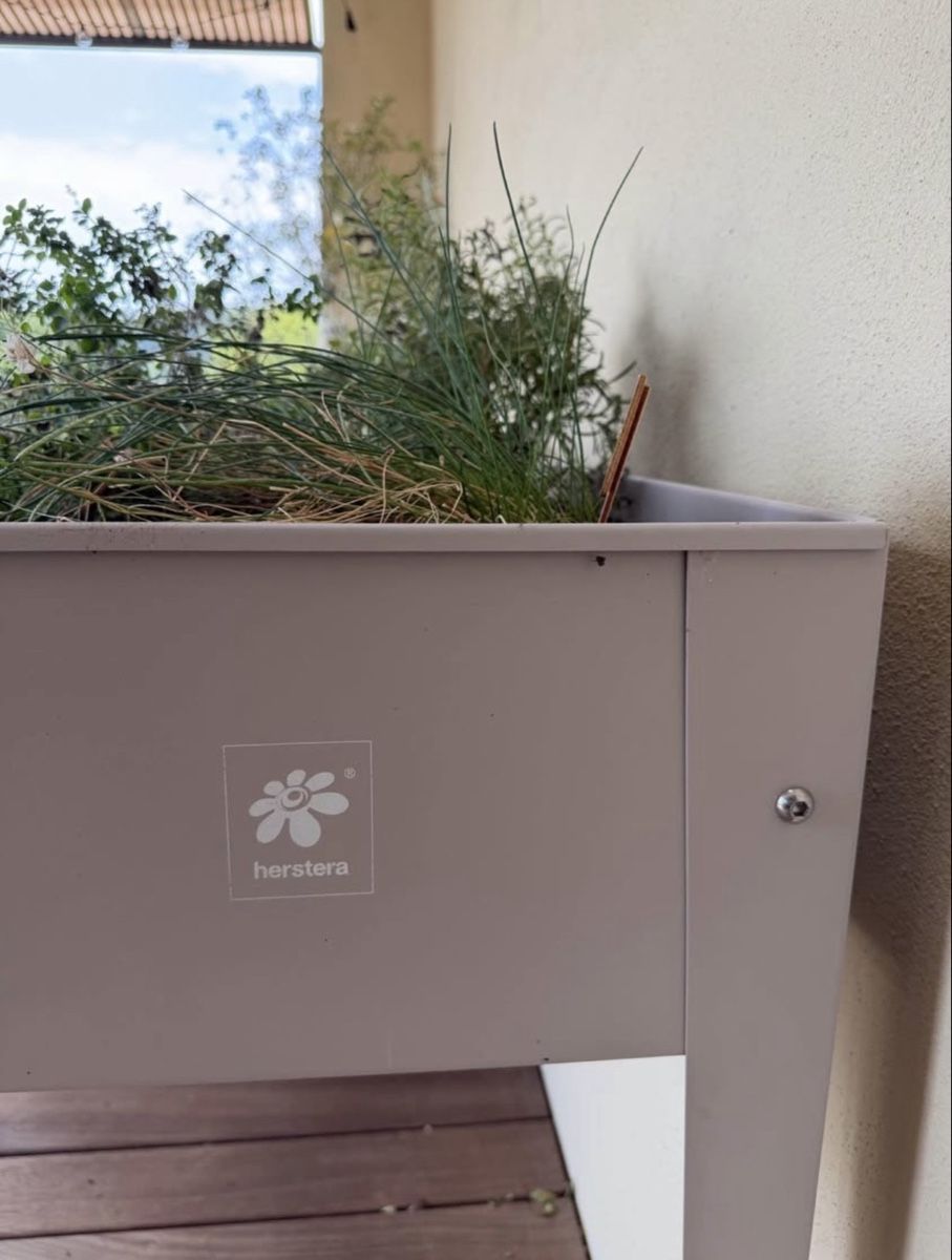 Auflagenboxen: Hochbeet – Gebraucht aus Schöftland von selina-michele 2