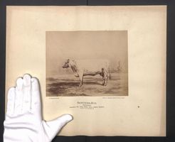 Fotografie Internationale Landwirtschaft