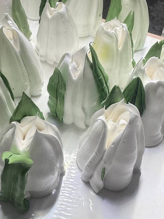 Tutte le decorazioni: Marshmallow Tulpen, Geschenk, Feier – Usato da Frauenfeld venduto da olg_8qzw 4