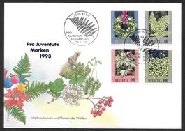 FDC Pro Juventute Serie 1993 ET 23.11.1993 schön illustriert
