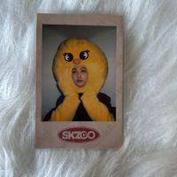 stray kids felix lovestay: skz-x polaroid photocard