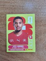 Panini Aurèle AMENDA SUI 7