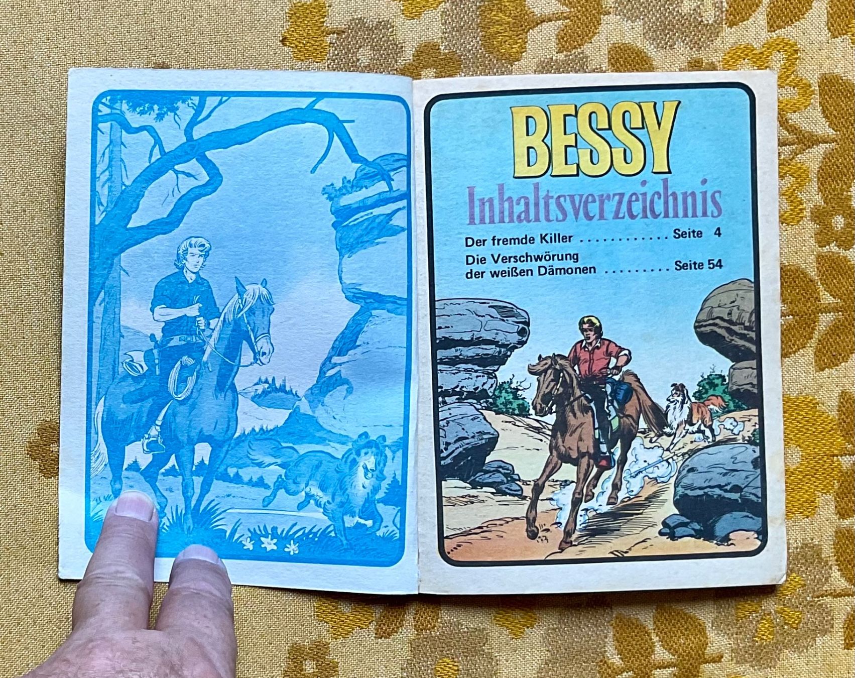 Comics: Bessy Taschenbuch Nr 15 – Gebraucht aus Endingen von nathan05 2