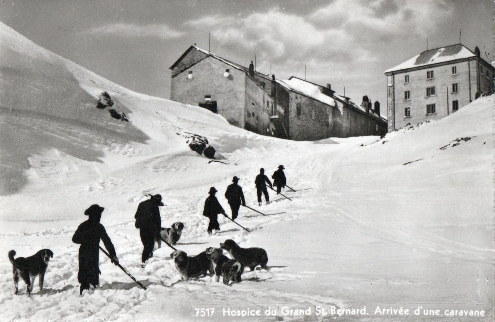 Cartoline postali: Hospice du Grand St.Bernard - Arrivée d'une caravane – Nuovo (secondo la descrizione) da Melano venduto da pisonsdro
