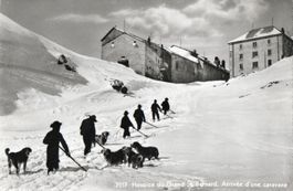 Hospice du Grand St.Bernard - Arrivée d'une caravane