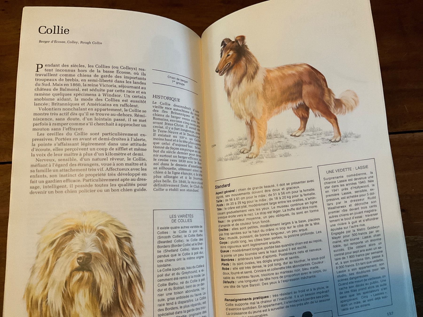 Livres: Guide des Chiens Sélection Reader's Digest – D'occasion à Avenches par Lactobacille 4