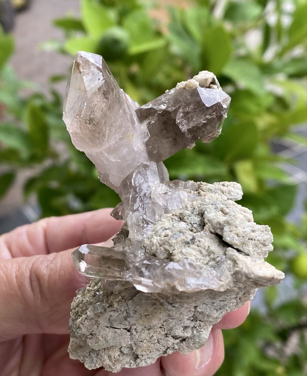 Minerali & Pietre curative: Spezieller Rauchquarz vom Grimsel  – Usato da Selzach venduto da 321compac 1