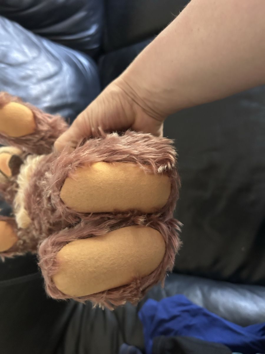 Steiff Giocattoli: Steiff Teddy Zotty – Usato da Bülach venduto da larson27 4