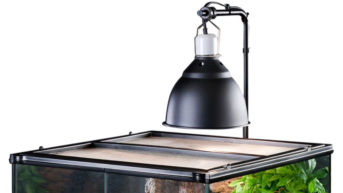 Exo terra Lampade: Exo Terra Light Dome Small , like new – Usato da Zürich venduto da Andris.b.k