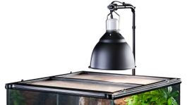 Exo Terra Light Dome Small , like new