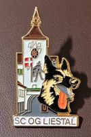 Q097 - Pin SC OG Liestal Tor Hund