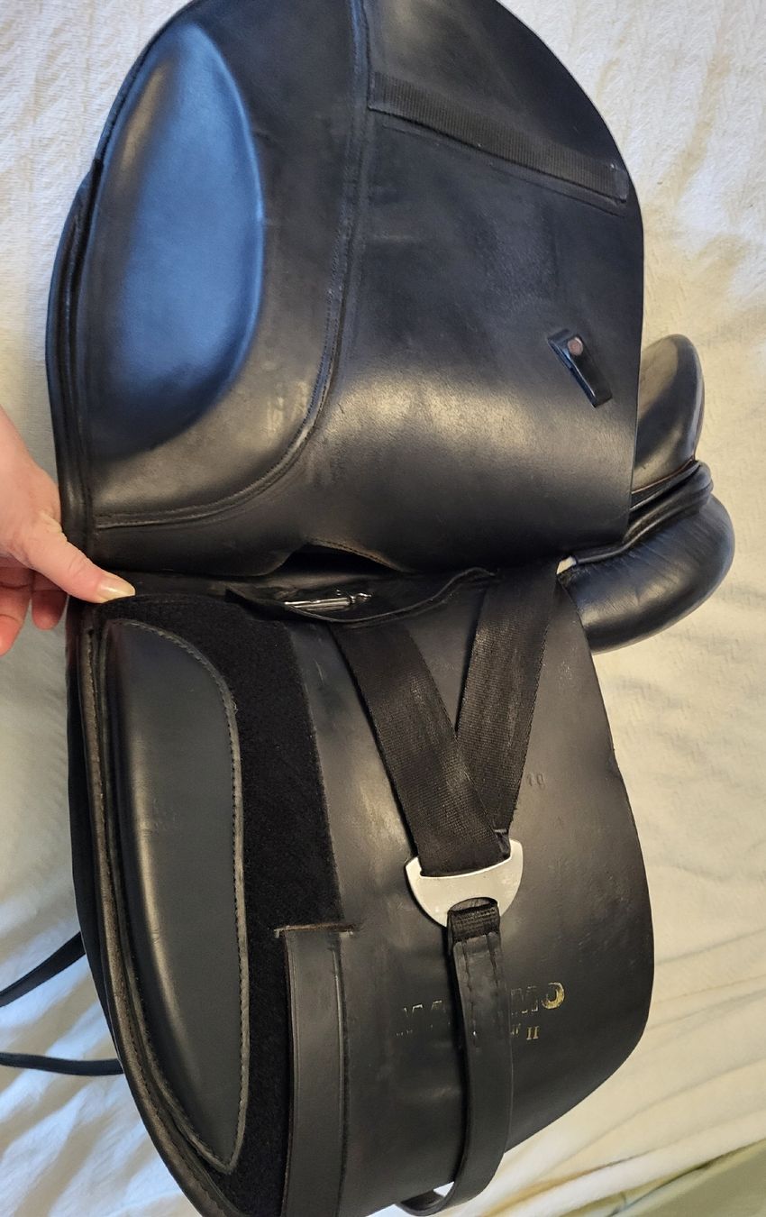 Selle & Accessori: dressursattel kurz 18" massimo – Usato da Zuzwil SG venduto da TSGWEAL1 4