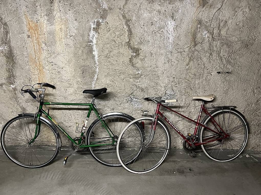 Biciclette: Vélo Peugeot  – Usato da Genève venduto da cfi_ty8q 2