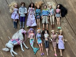 Vintage Barbie Puppen Sammlung 1998-2005