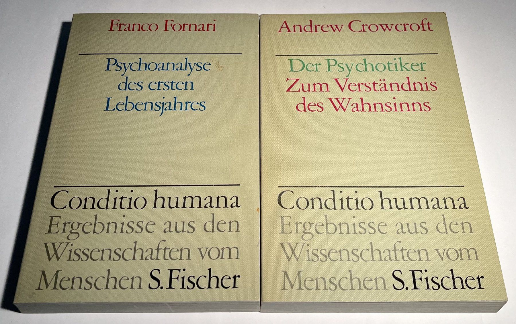 Libri: 2 Klassiker: Psychoanalyse & Psychose verstehen / S.Fischer – Usato da Neuhausen am Rheinfall venduto da Restwertvoll