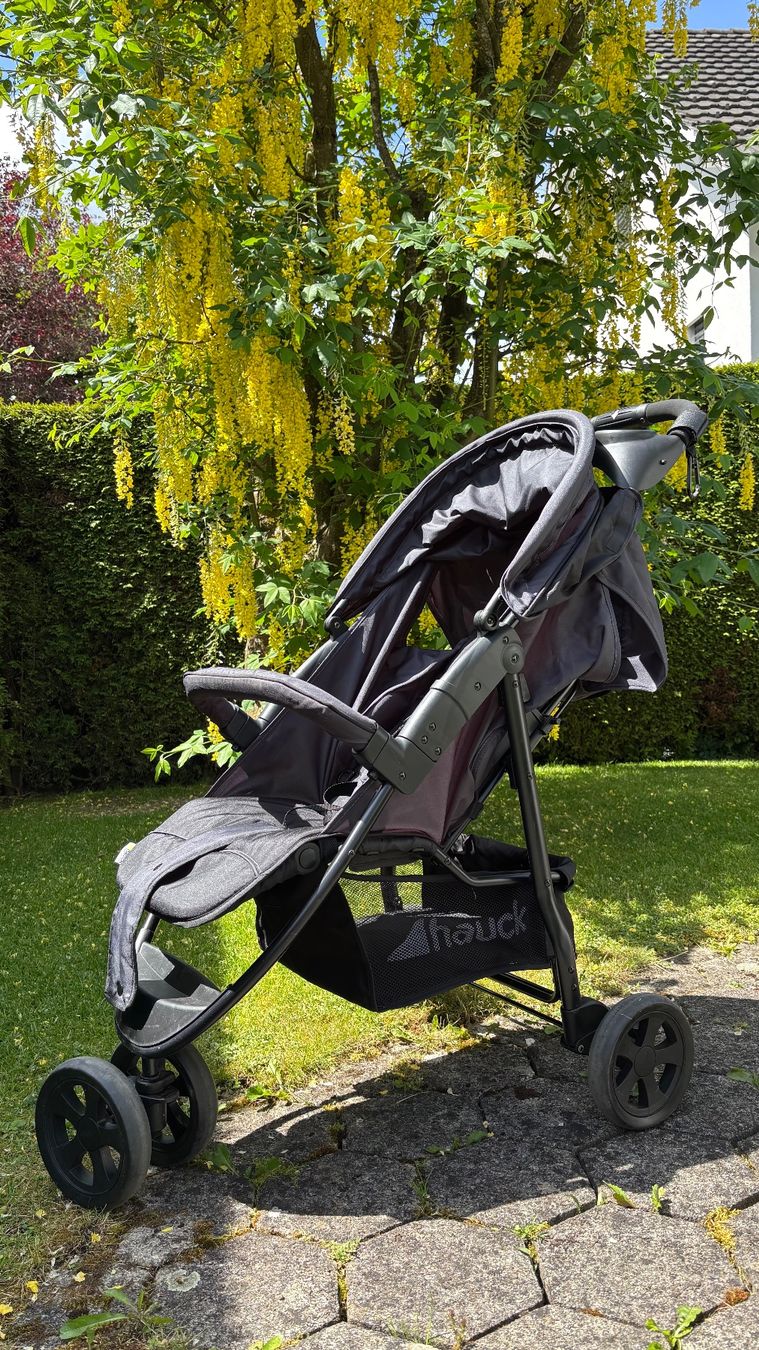 Hauck Carrozzine: Sport-Buggy von Hauck – Usato da Möriken AG venduto da Rekimu