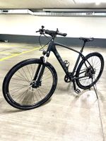 Trek Bike Velo Dual Sport 4