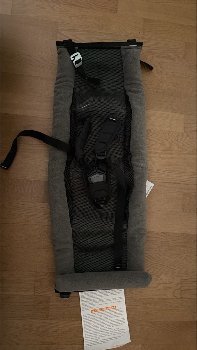 Amache: Thule Chariot Infant Sling – Nuovo (secondo la descrizione) da Cham venduto da fra_5gmt