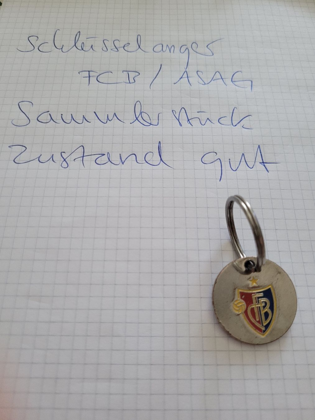 FC Basel Portachiavi: Fc Basel / ASAG Einkaufwagen Chip metall – Usato da Basel venduto da dhe_qbg8