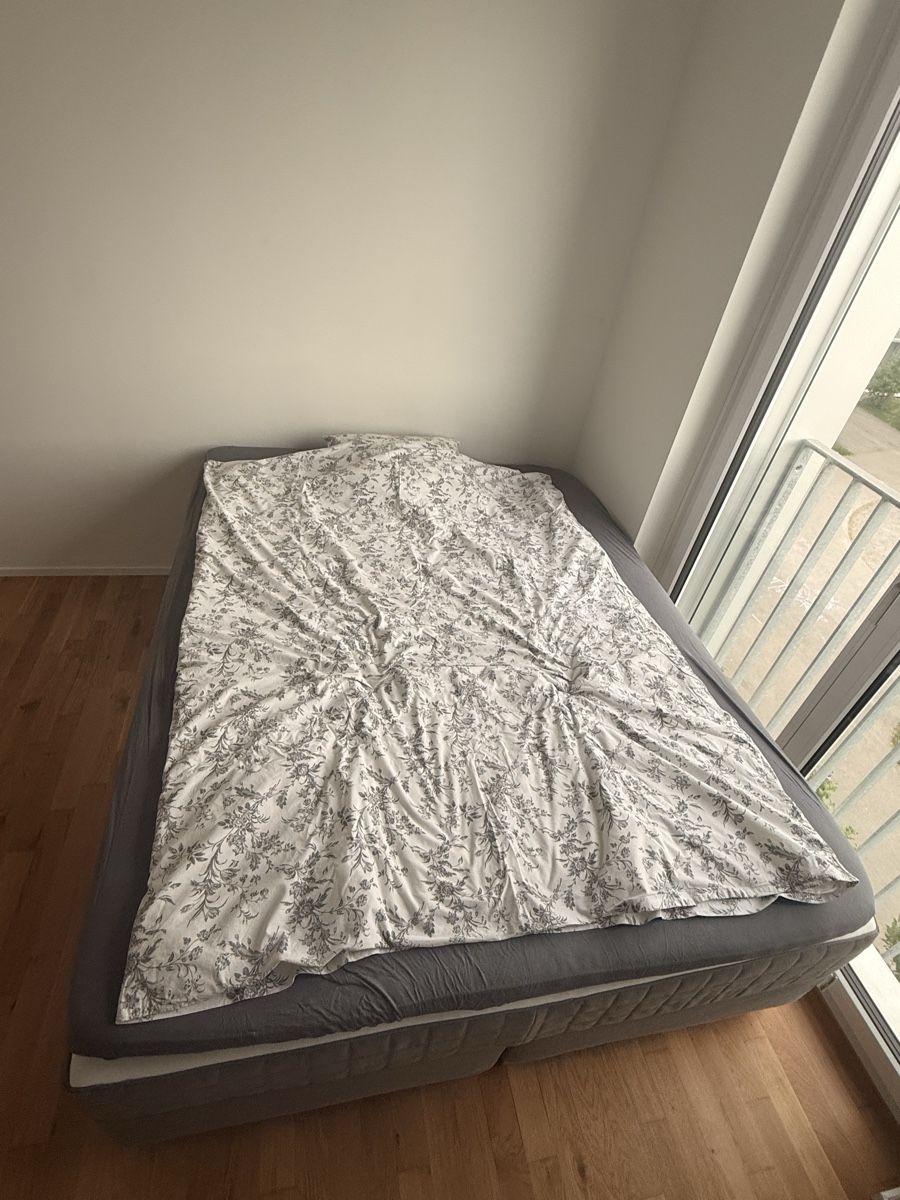 Letti: Boxspringbett, 160x200cm, Grau, Top Zustand – Usato da Winterthur venduto da Aprico95 1