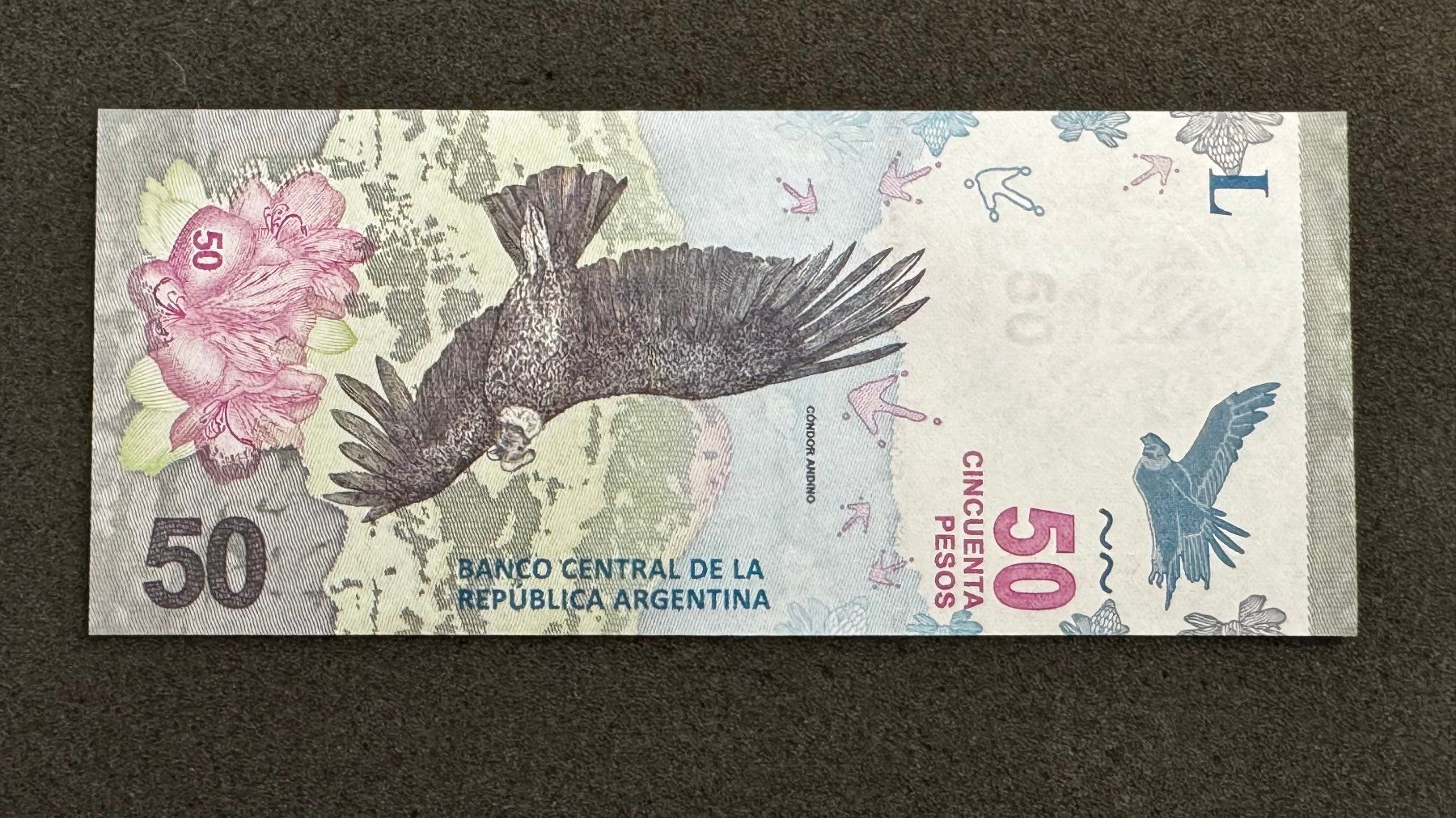 Banconote: 50 Pesos Banknote Argentinien 2018 UNC – Usato da Reitnau venduto da tb-muenzen