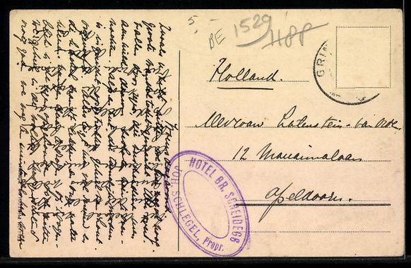 Cartoline postali: AK Grosse Scheidegg, Hotel mit Terrasse, Mönch und Eiger – Usato da Berlin venduto da bartko-reher 1