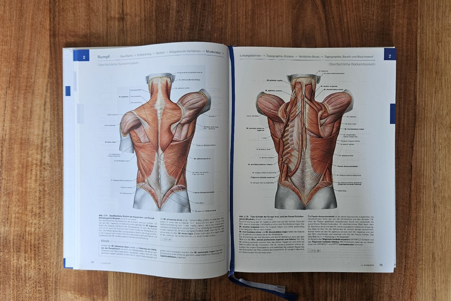 Libri: Anatomie Atlas / Sobotta – Usato da Solothurn venduto da yoganer 1