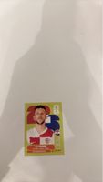 Panini Sticker Ivan Perisic Kroatien guter Zustand
