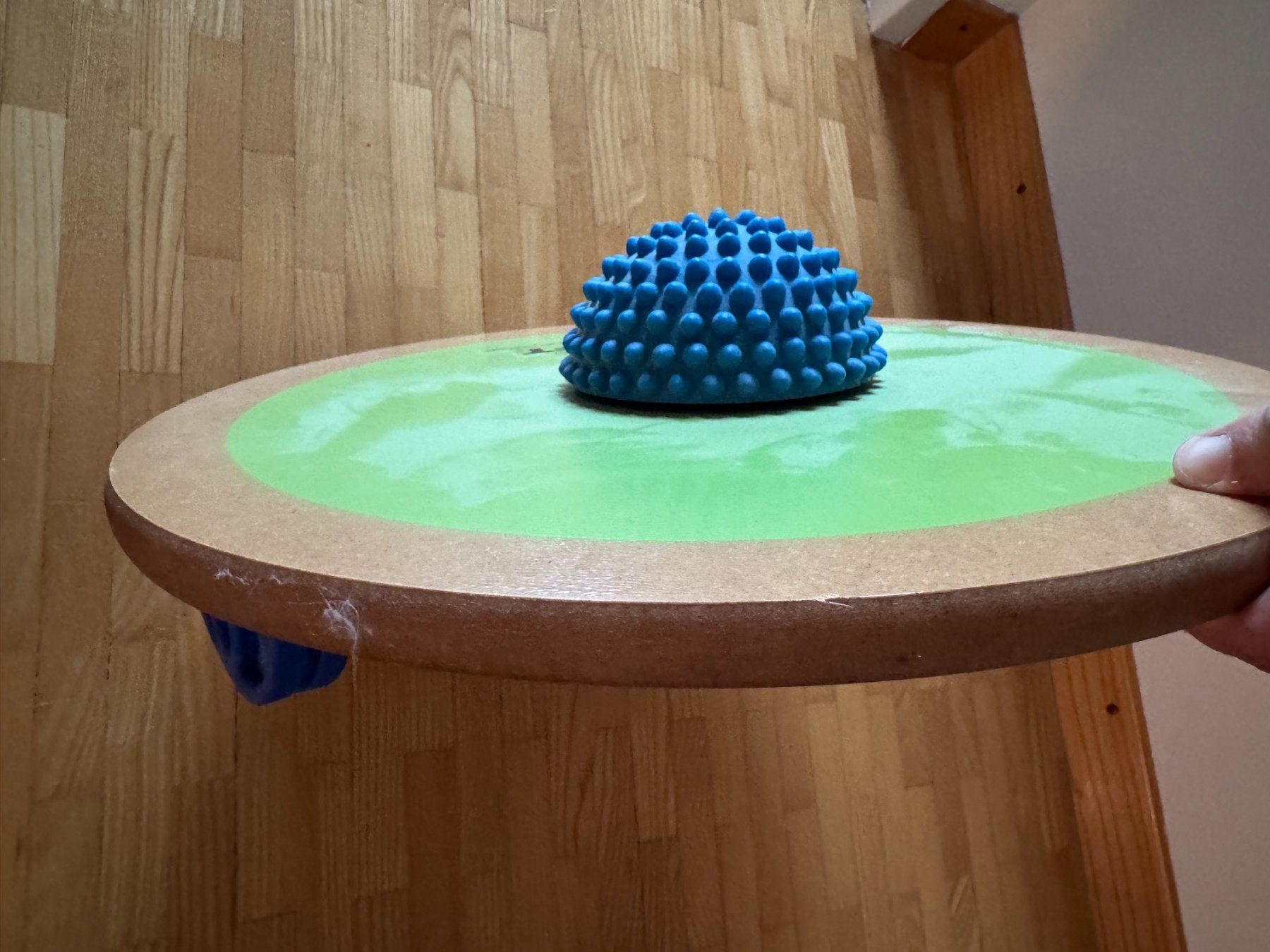 Hometrainer: MFT Balance Board – Usato da Wittenbach venduto da Quills 2