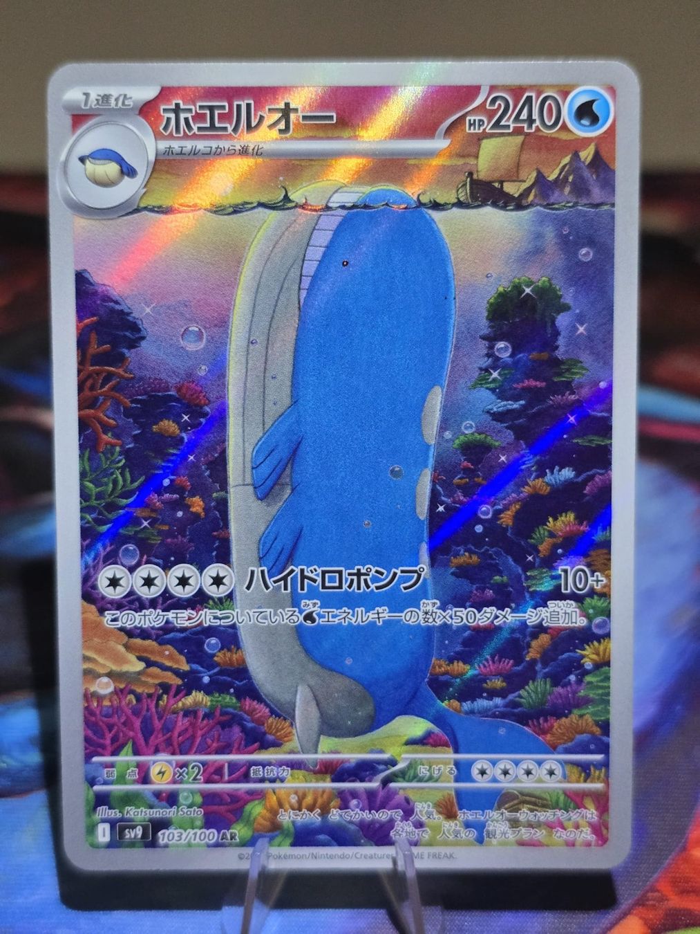 Pokémon Carte collezionabili: Wailord (sv9 103) – Usato da Reinach AG venduto da AkuyakuTCG