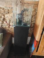 Dennerle Nano Cube 60L 