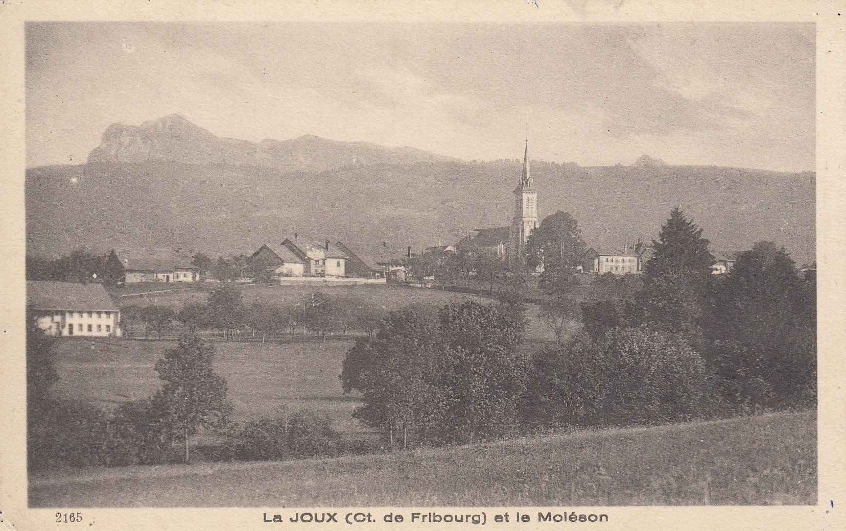 Cartoline postali: La Joux   FR   et le Moléson – Usato da Brig venduto da Valcards54