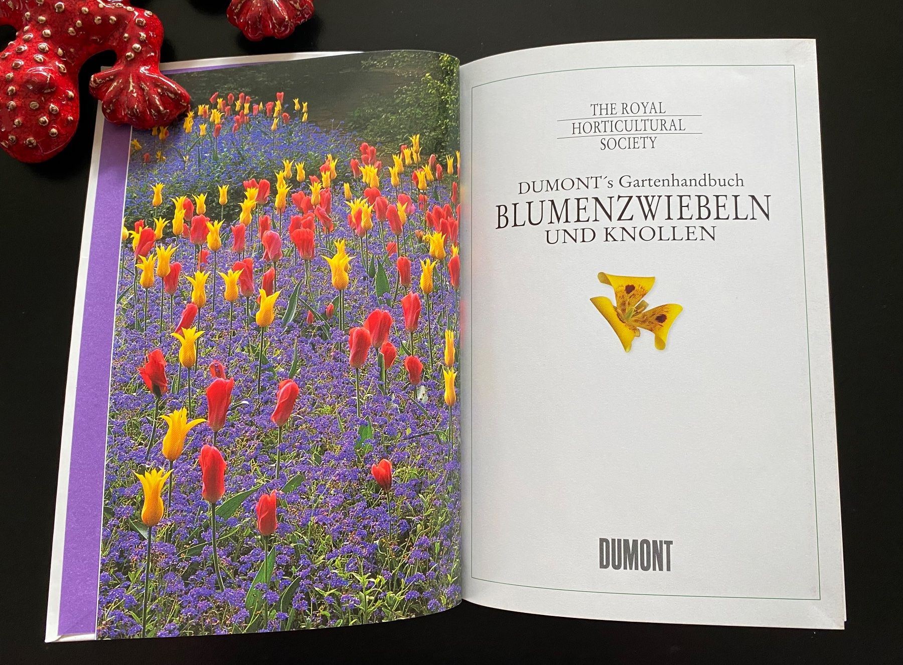 Libri: BLUMENZWIEBELN UND KNOLLEN – Usato da Nussbaumen AG venduto da schuba2000 2