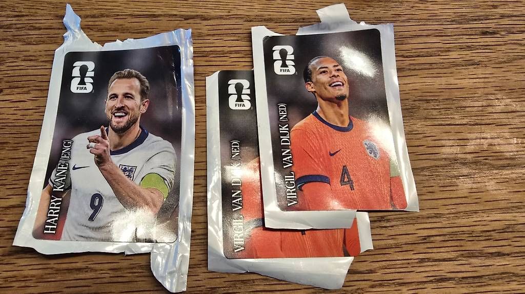 Carte collezionabili: Panini WM 2026 - über 550 Bilder – Usato da Zuzwil BE venduto da Chris200 2