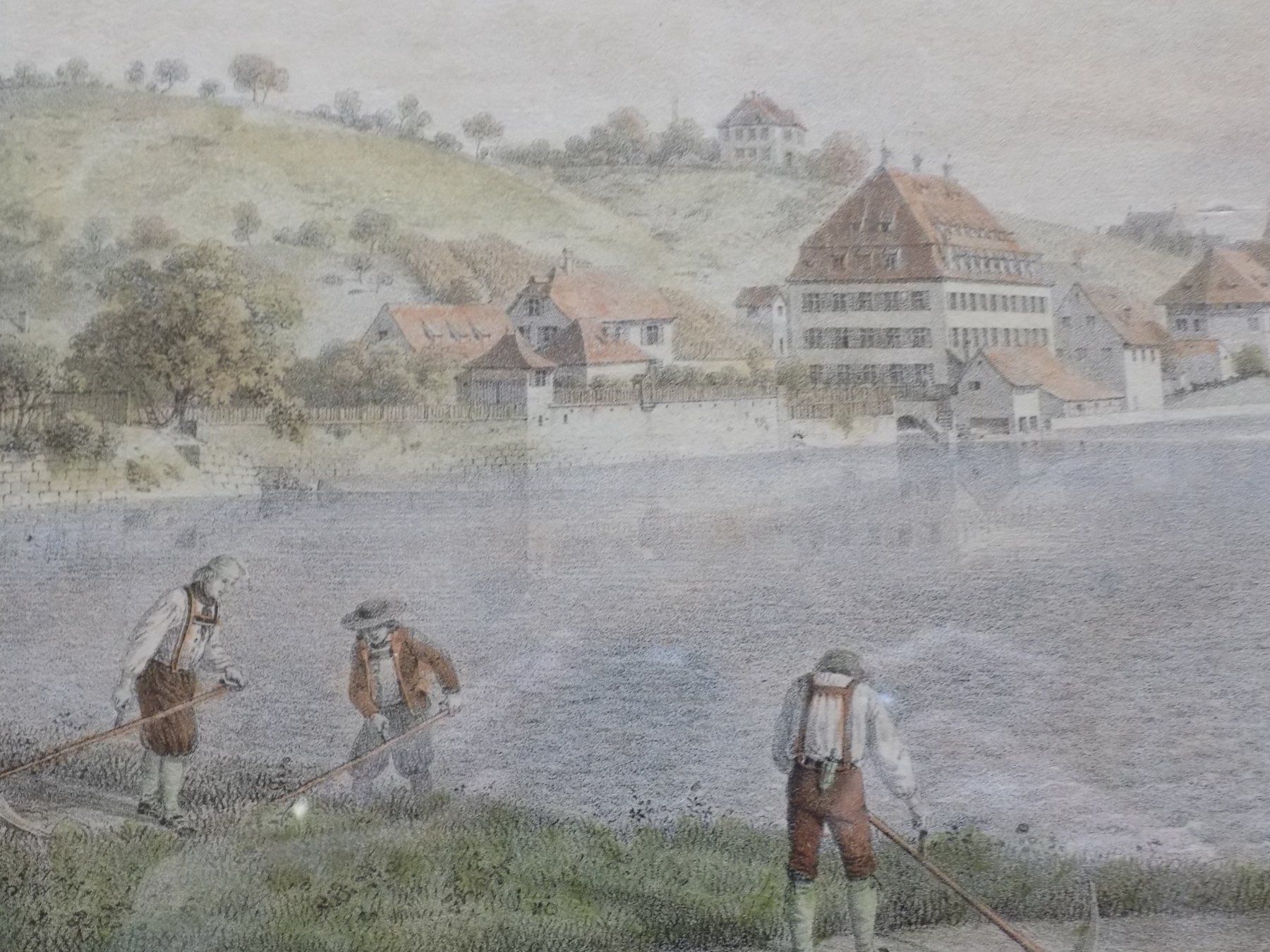 Incisioni: Schaffhausen sehr selten – Usato da Risch venduto da Rischli15 4