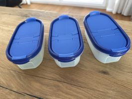 Tupperware-Dosen-Set für Picknick im Sommer! 3 Stk. Top!